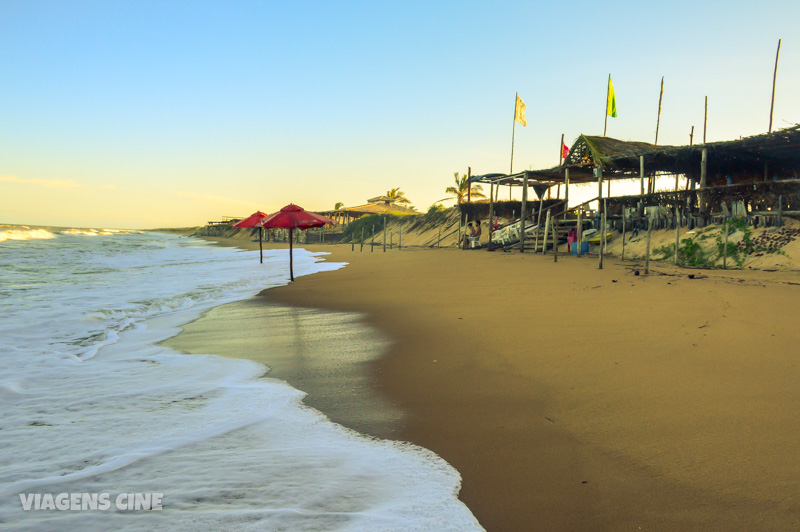 Que tal uma viagem sozinho,para conhecer novas amizades?