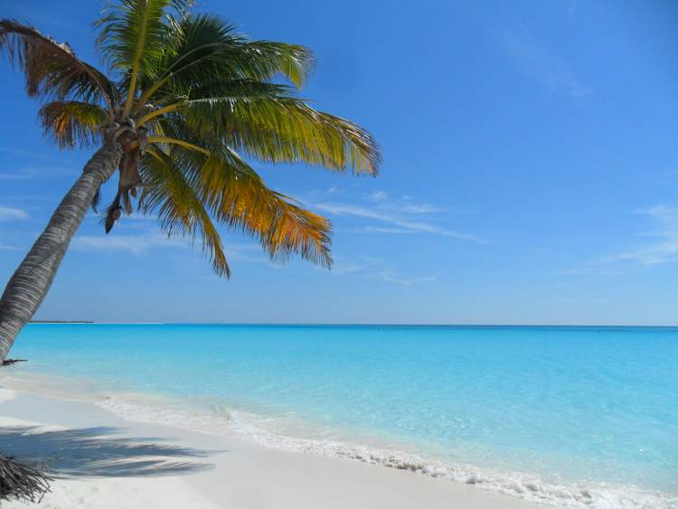 Conheça as top praias de Cuba!