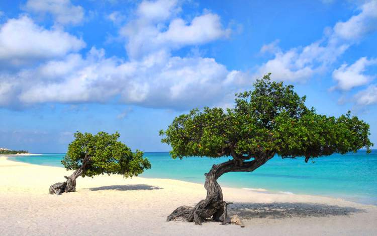 Melhores praias de Aruba!