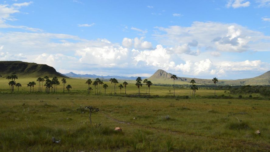 Chapada dos Veadeiros